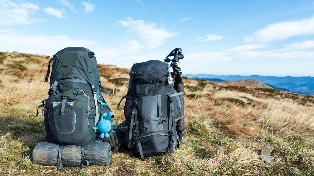 Useful Travel Essentials to Pack in Your Backpack | Zoom TV