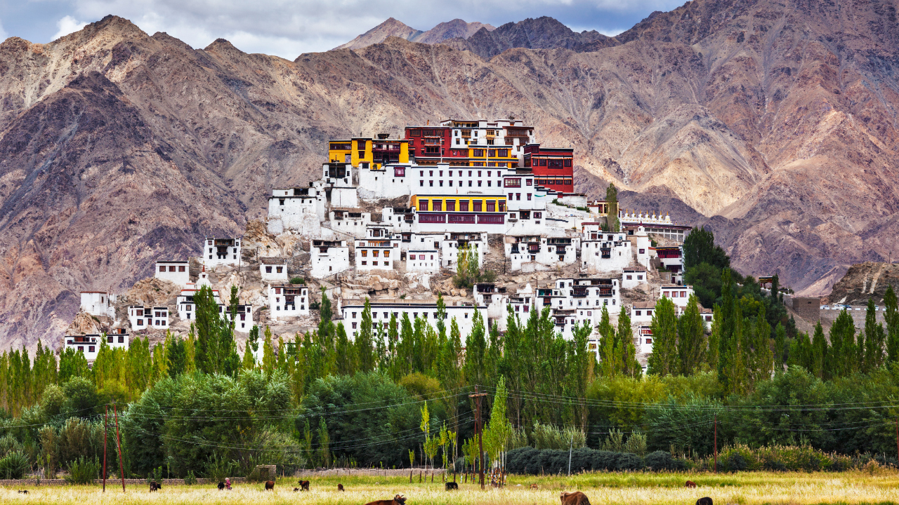 Thikse Gompa Ladakh India