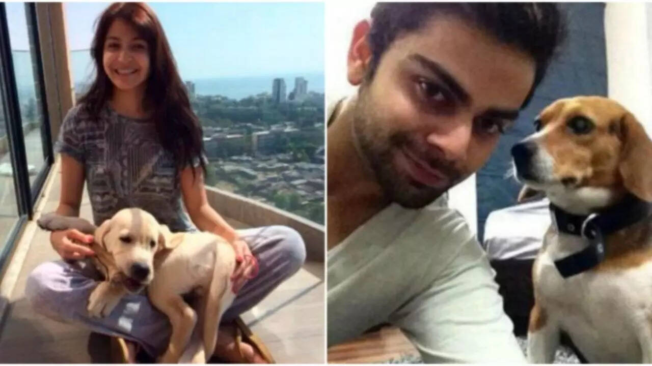 Anushka Sharma and Virat Kohli