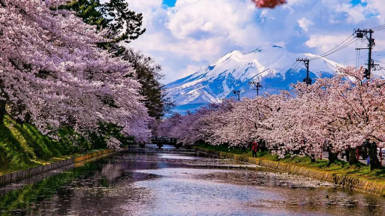 Japan 