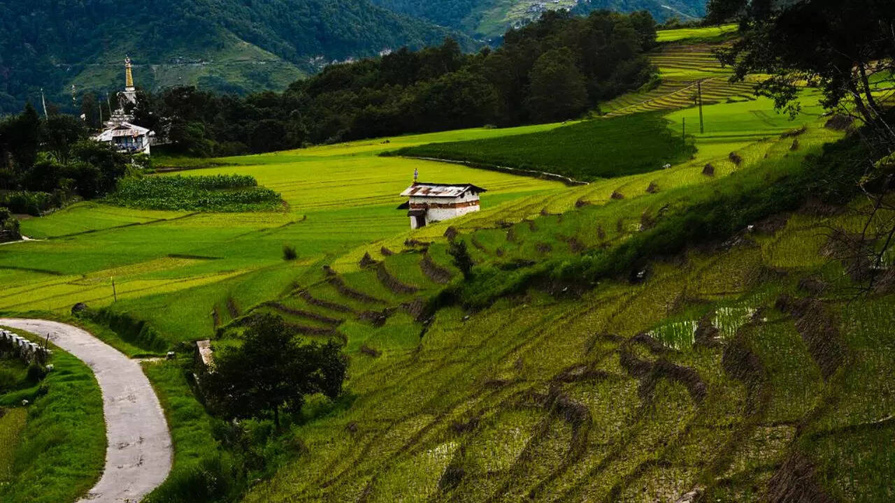 Ziro Valley Arunachal Pradesh