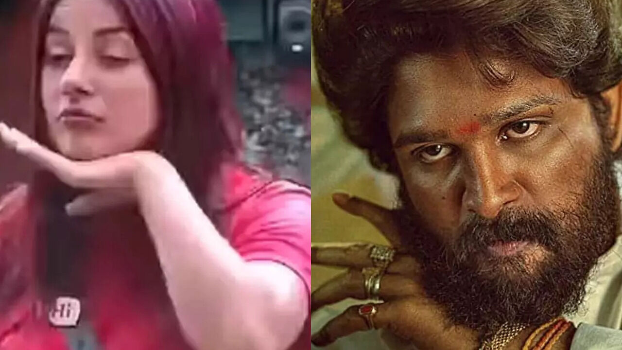 Did Shehnaaz Gill inspire Allu Arjun's viral signature step in Pushpa ...