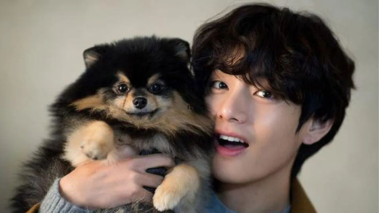 Who Is Doggo In Bts