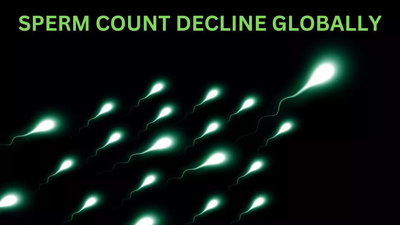 Sperm count decline globally, here’s how to increase and get a good ...