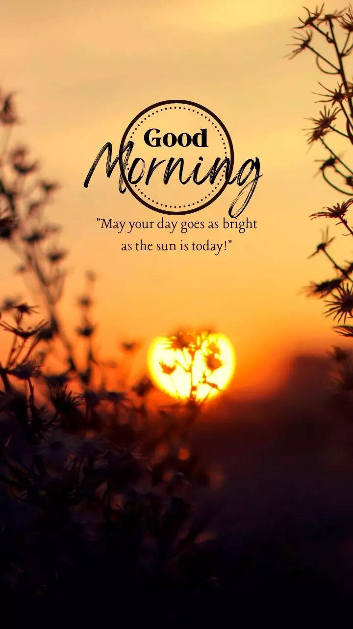 Best beautiful good morning Online, image size:720x1280