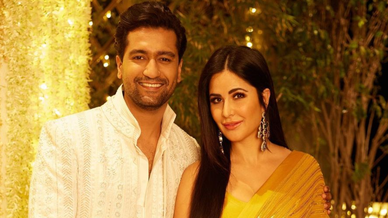 Katrina Kaif, Vicky Kaushal's Baby Plans On Hold