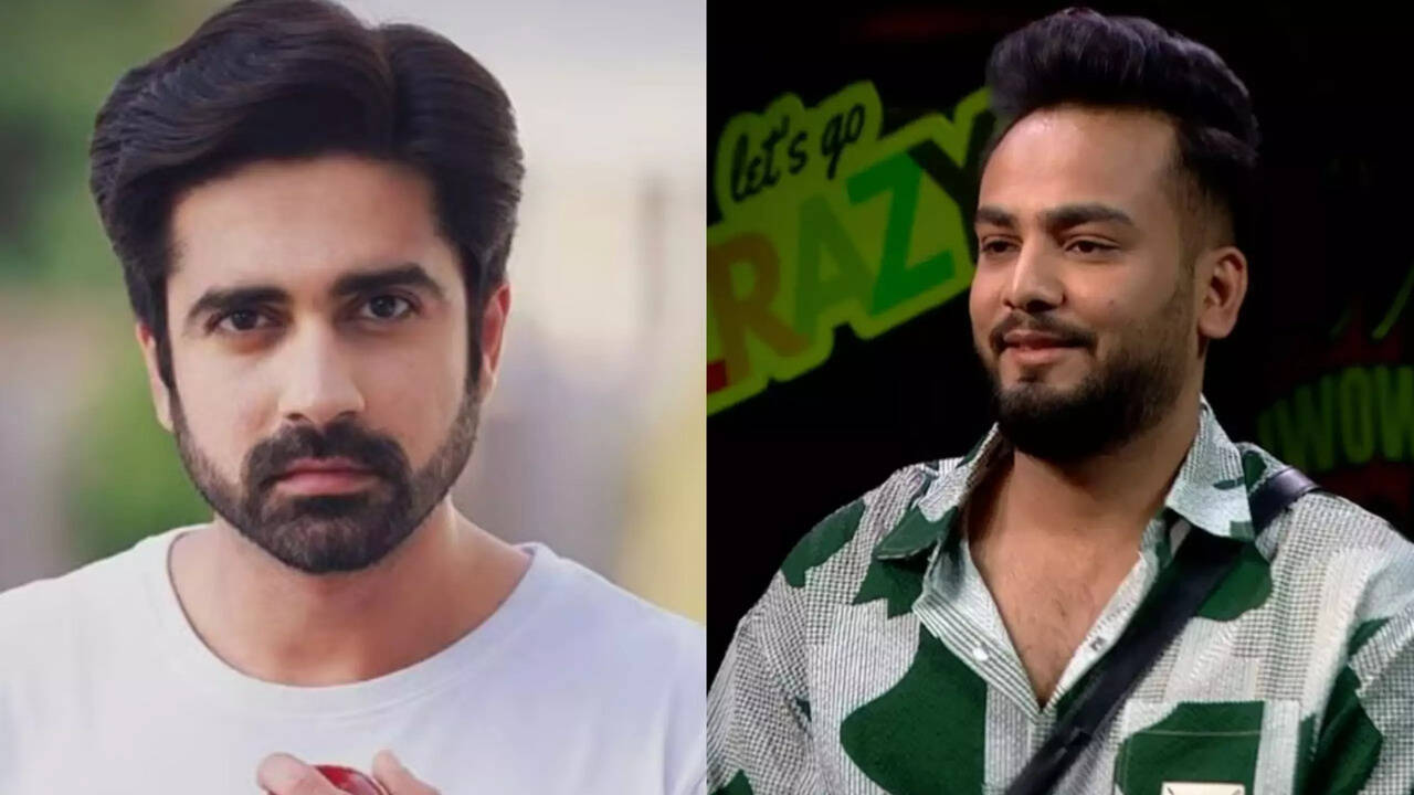 Avinash Sachdev and Elvish Yadav