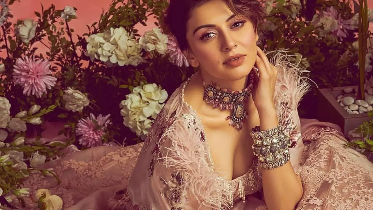 4 Controversies That Surrounded Hansika Motwani's Life