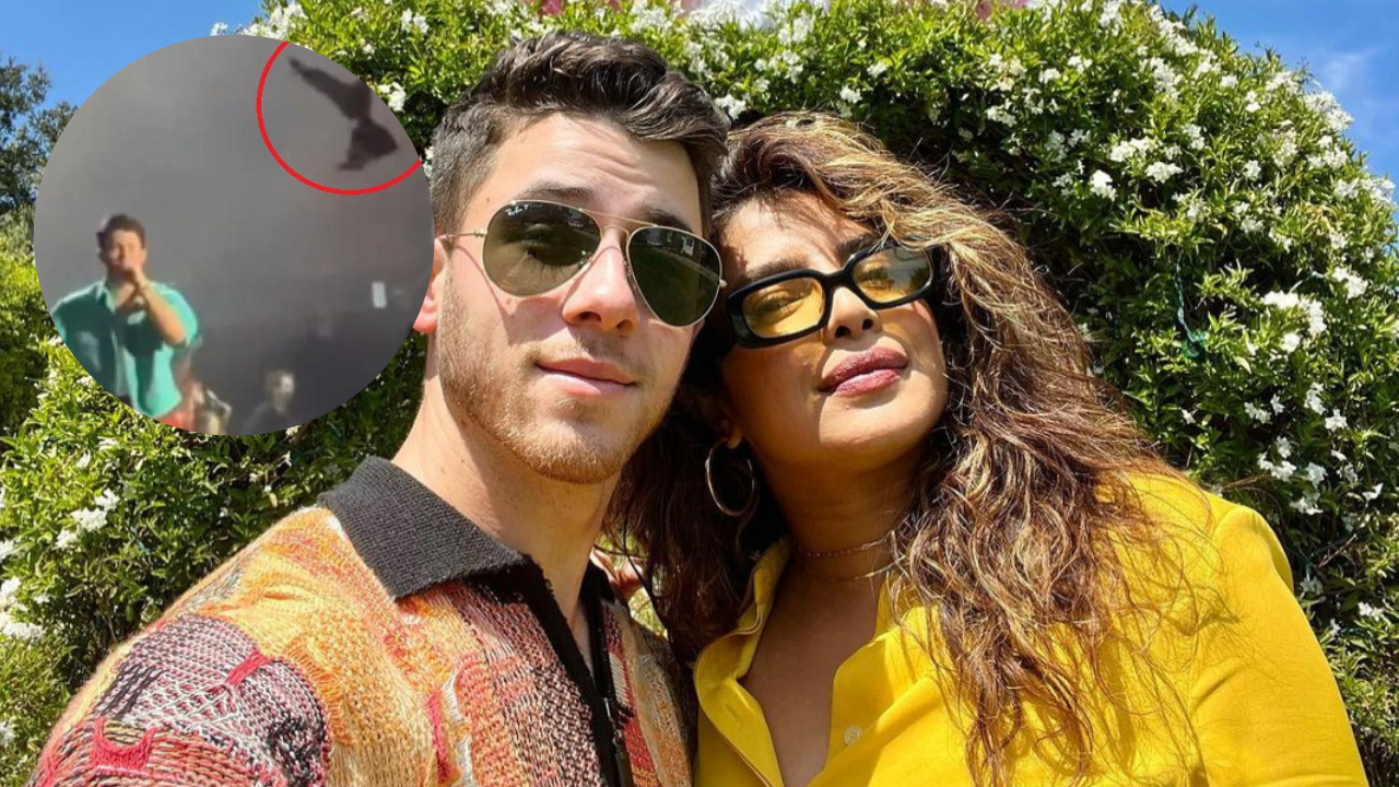 Jonas Brothers' NYC Concert Fiasco! Fan THROWS Bra At Nick; Here's How He Reacted