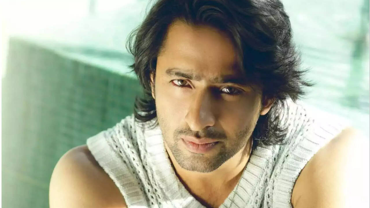 Shaheer Sheikh