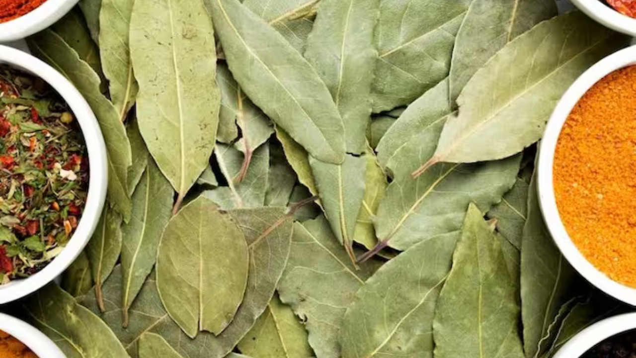 Bay leaf benefits