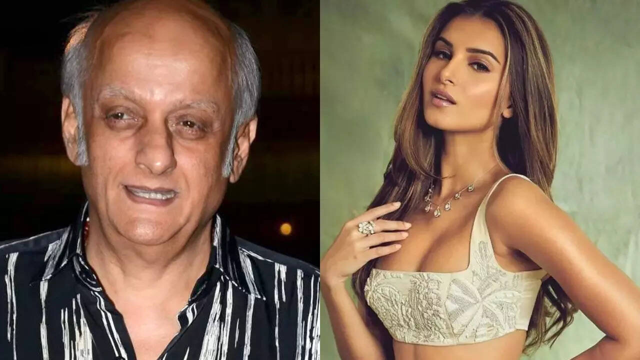 'Absolute Nonsense': Mukesh Bhatt Denies Speculations Around Tara Sutaria's Casting In Aashiqui 3