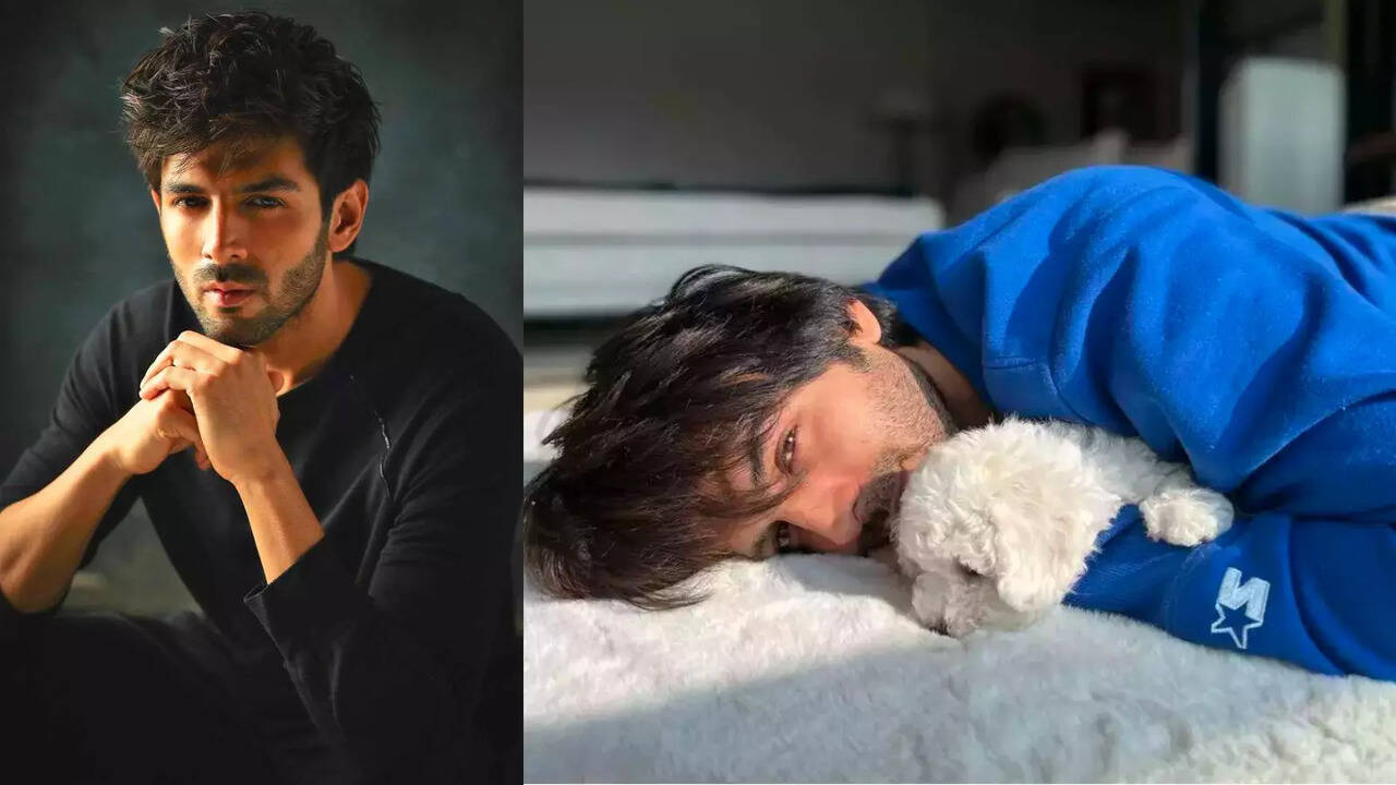 Kartik Aaryan Celebrates 33rd Birthday With Cutest Little Companion, Furball Miss Katori