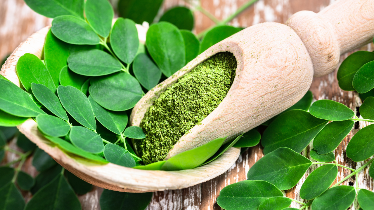 Health Benefits of Moringa Leaves