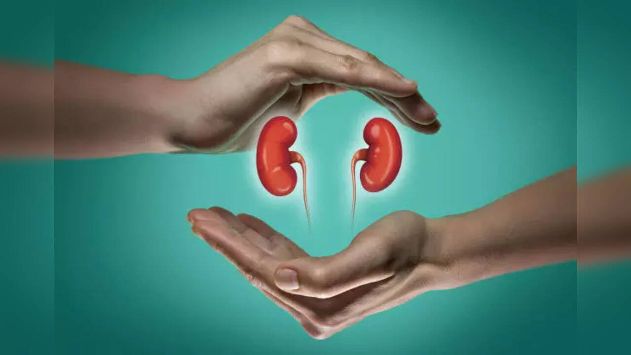 kidneys