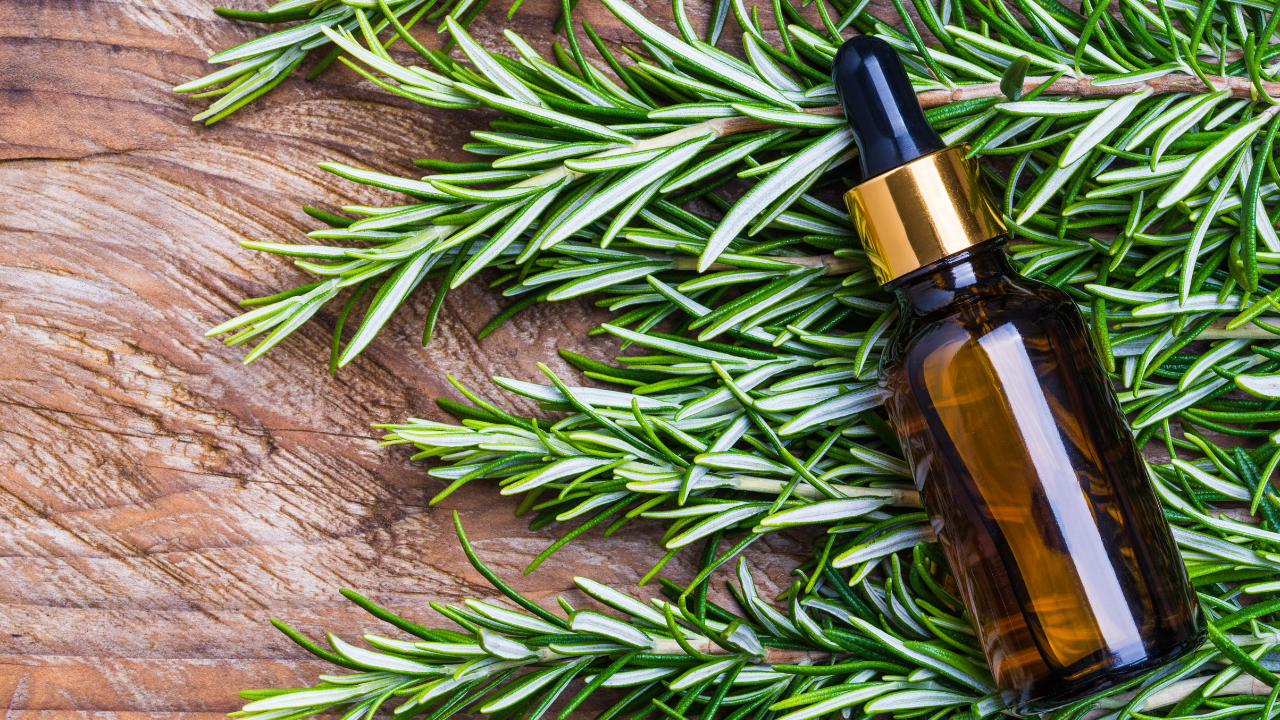 How To Use Rosemary Oil For Hair