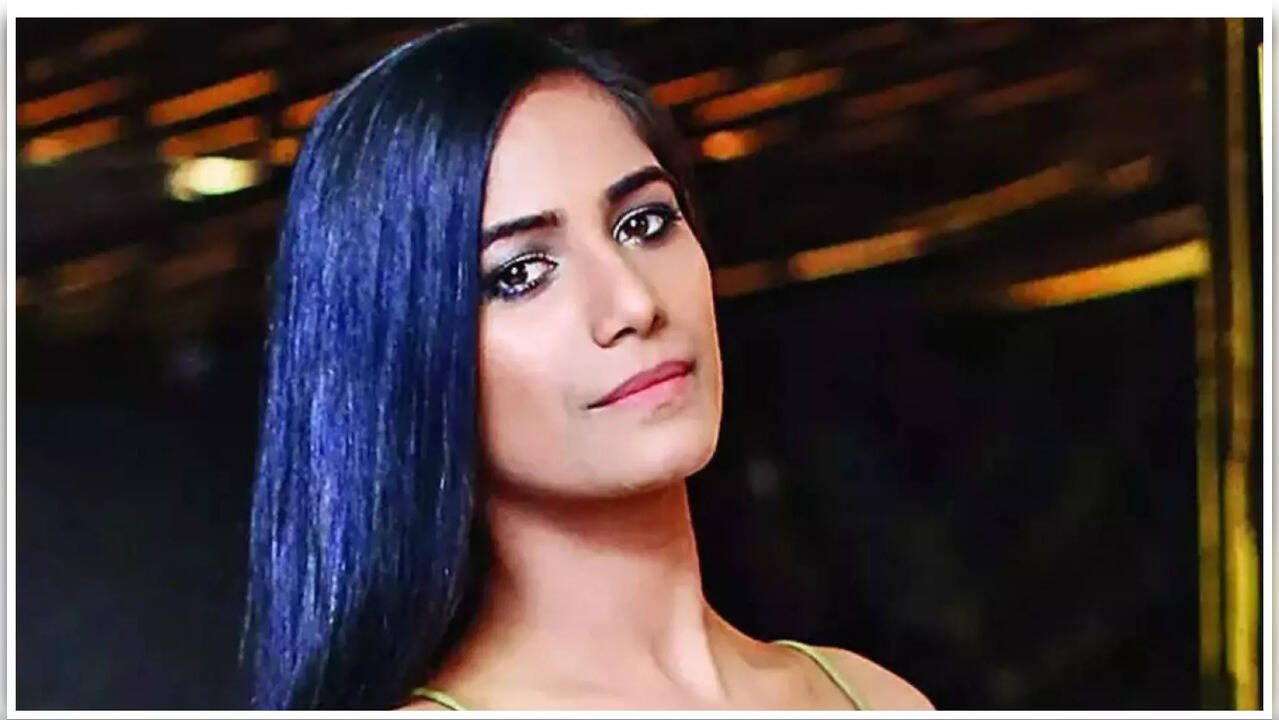 Poonam Pandey FIR Investigation