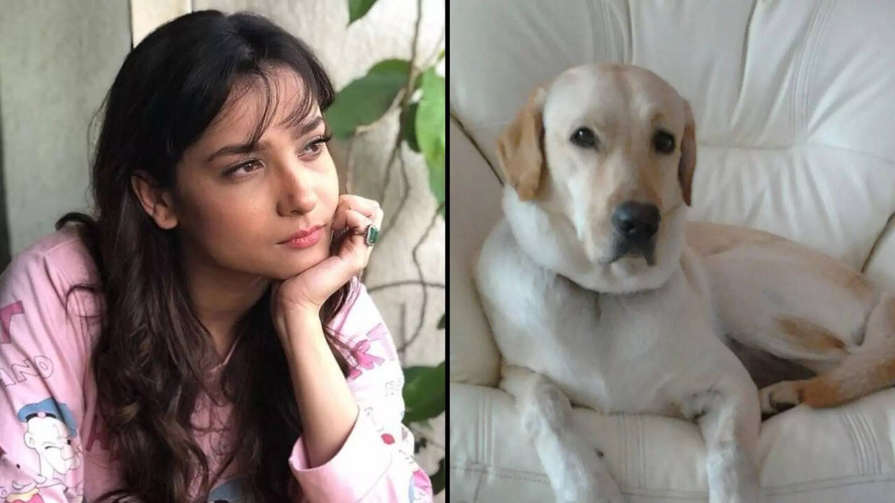 Ankita Lokhande-Vicky Jain Pet Dog Died