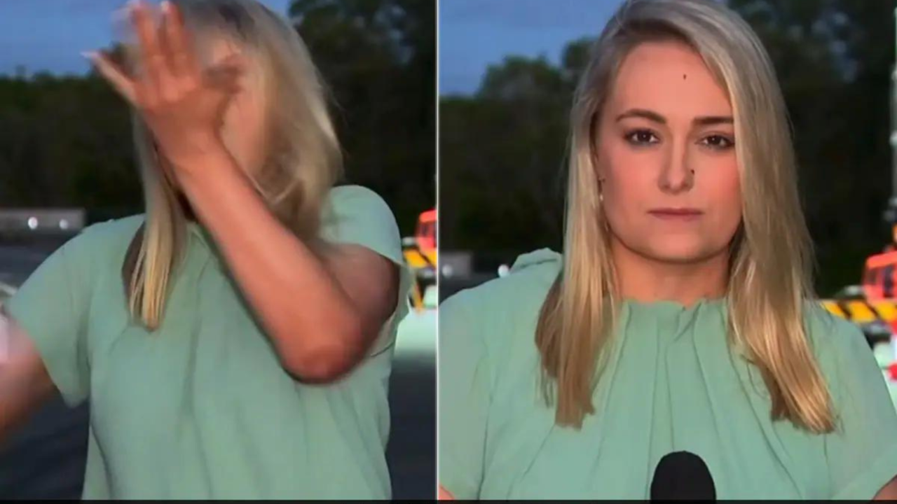 Viral Sensation: Today Show Reporter's On-Air Mosquito Encounter Results in Self-Slap