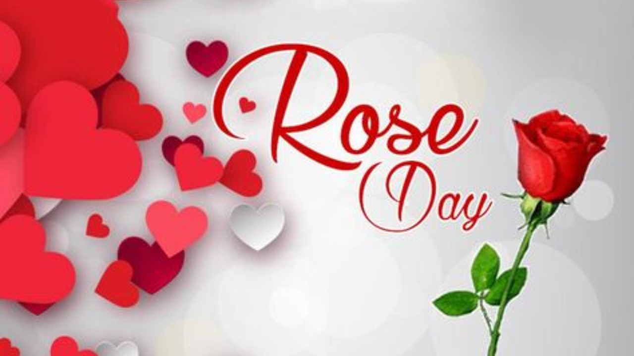 Rose Day 2024: Wishes, Messages and Images To Share On this Day