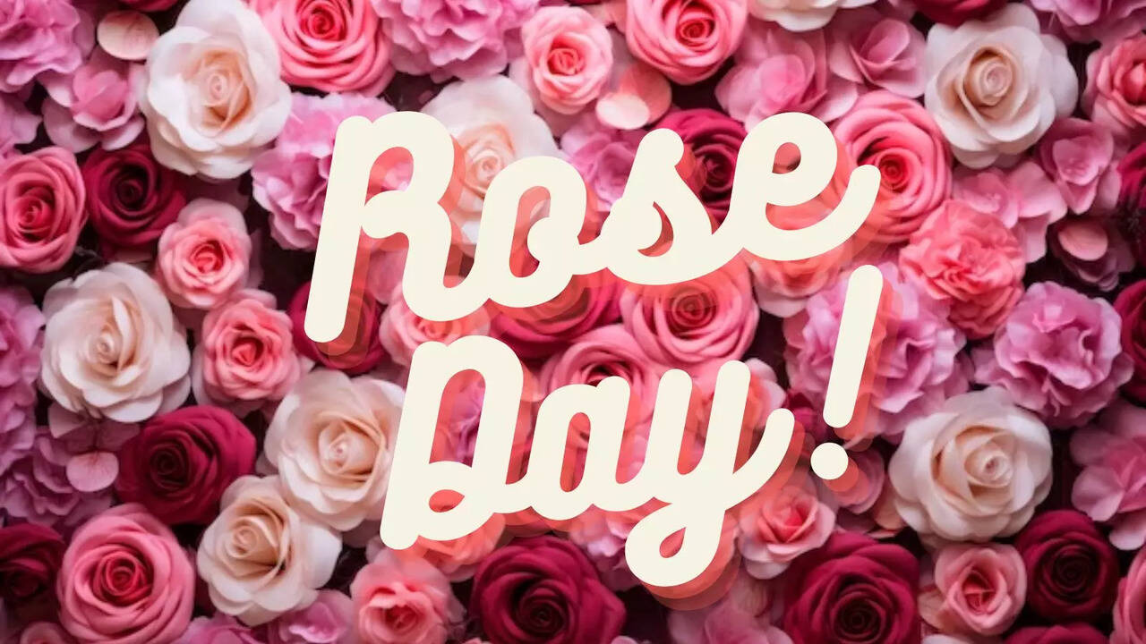 Rose Day 2024: What Does Each Rose Signify: A Guide to Rose Colors