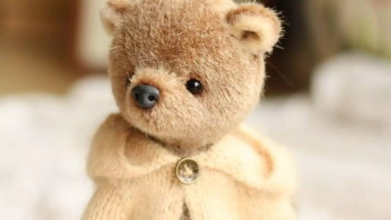 ​All You Need To Know About Teddy Day!