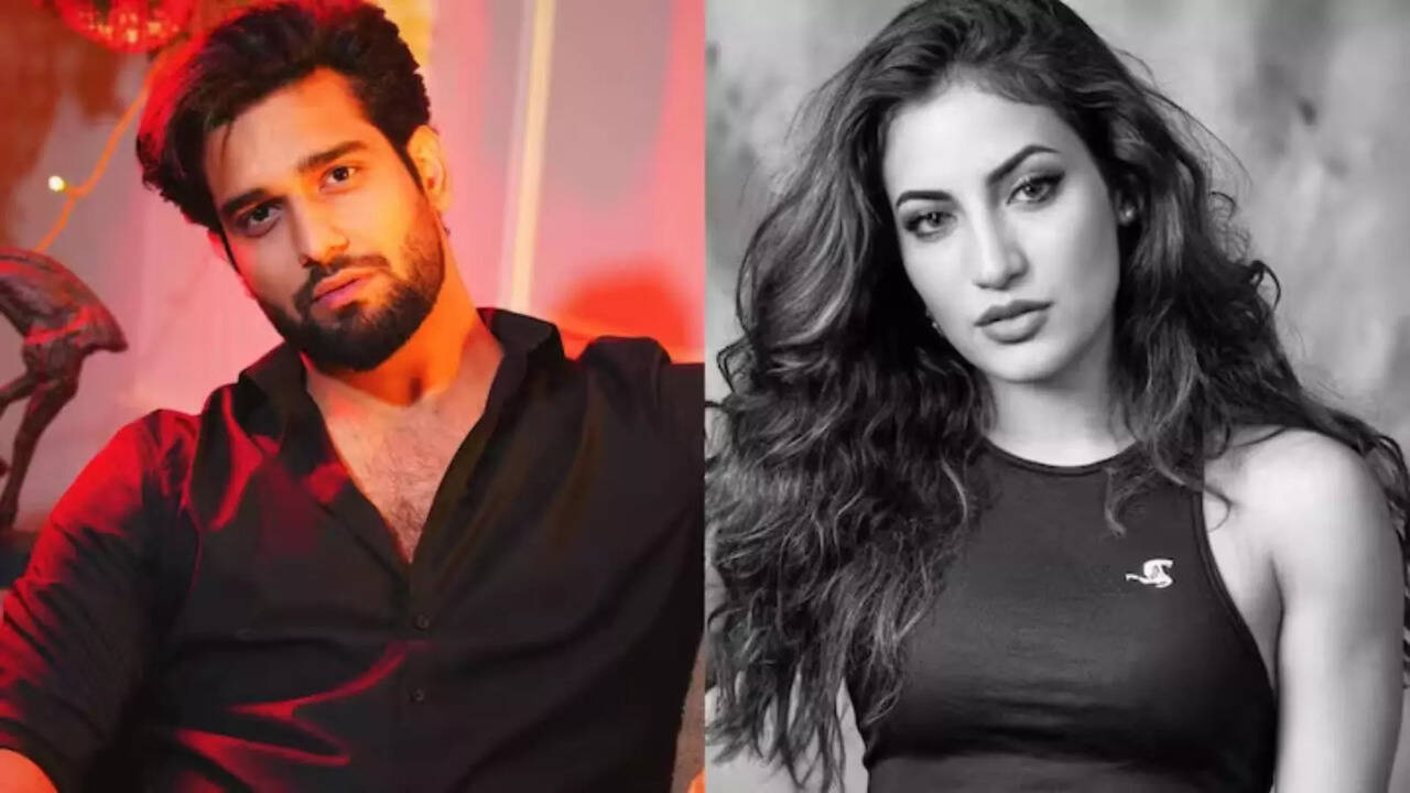 Kumkum Bhagya Actor Abhishek Malik CONFIRMS Divorce From Wife Suhani Over Compatibility Issues