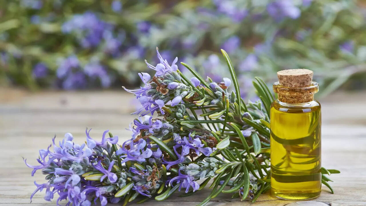 Rosemary Oil: Solution to Your Dry Skin and Hair