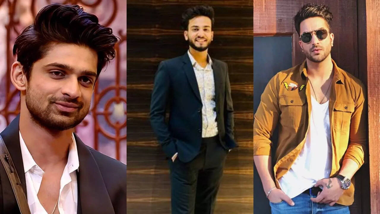 Elvish Yadav Snake Venom Case: Abhishek Kumar, Aly Goni, And More React To YouTuber's Arrest