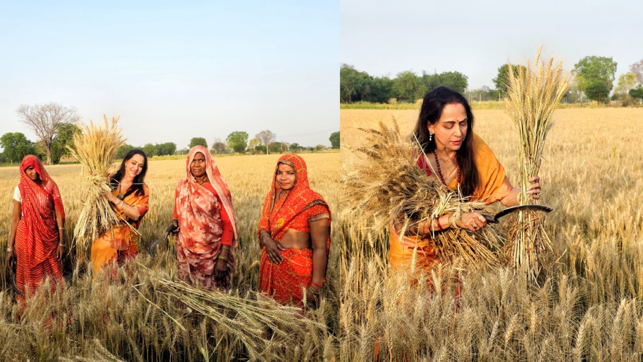 Hema Malini Meets Farmers During Poll Campaign In Mathura, Cuts Grains To Help Women