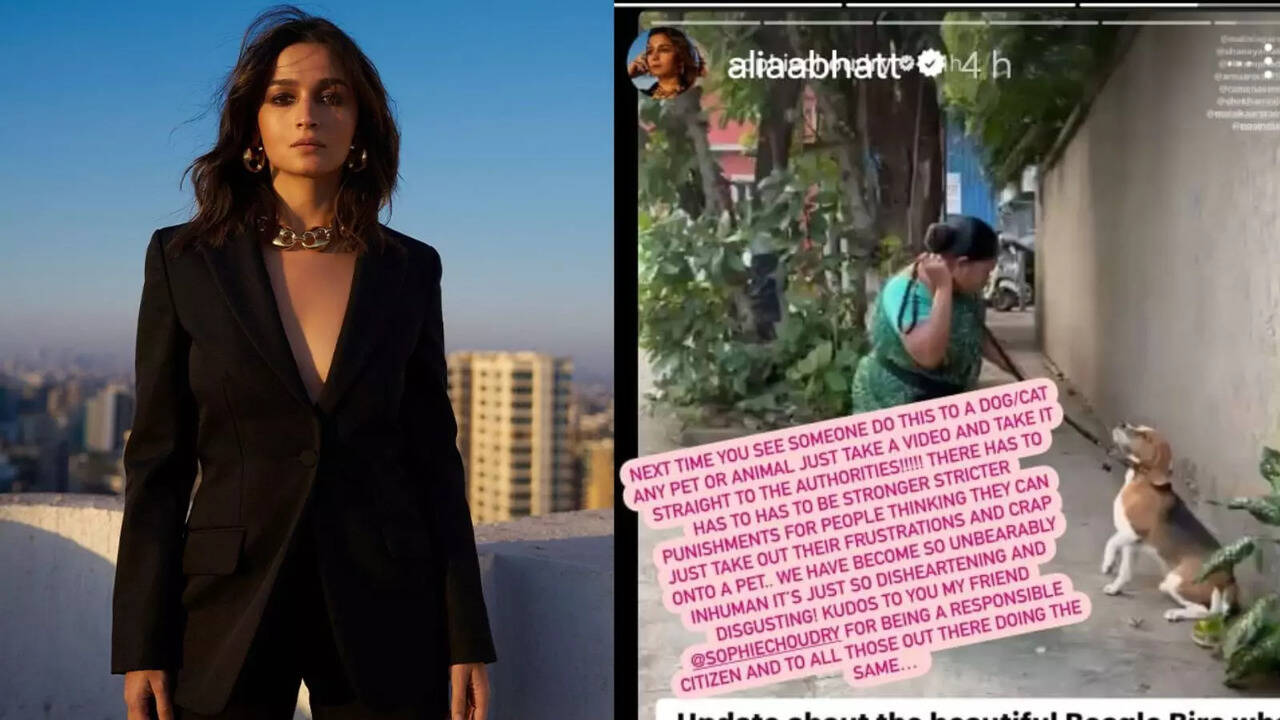 ​Alia Bhatt Posts Instagram Story Calling Out To 'Maid' Hitting A Dog With Leash, Says 'So Disheartening And Disgusting'