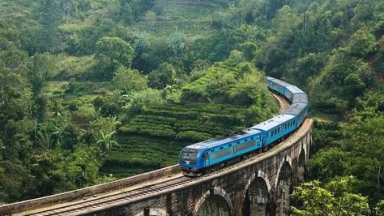 ​Woman Argues For A Seat In Train Without Having A Ticket, Video Gone Viral, Netizens React