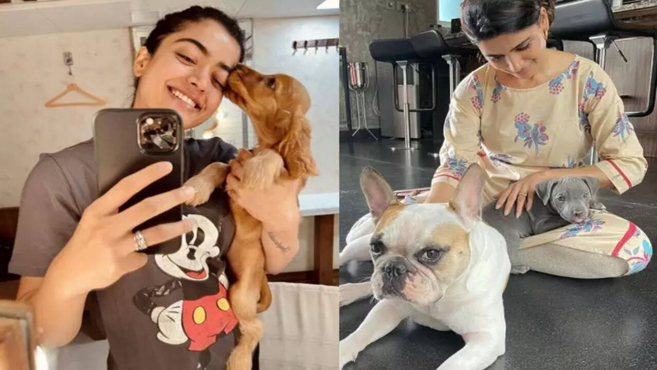 Rashmika Mandanna and Samantha Akkineni