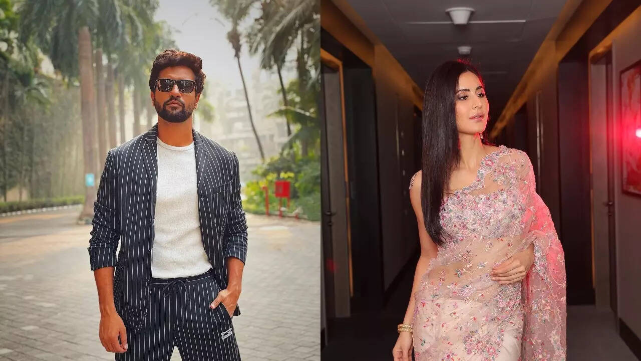 Ahead of Vicky Kaushal-Katrina Kaif's wedding latter's sister Natasha Turcotte arrives in Jaipur - Watch