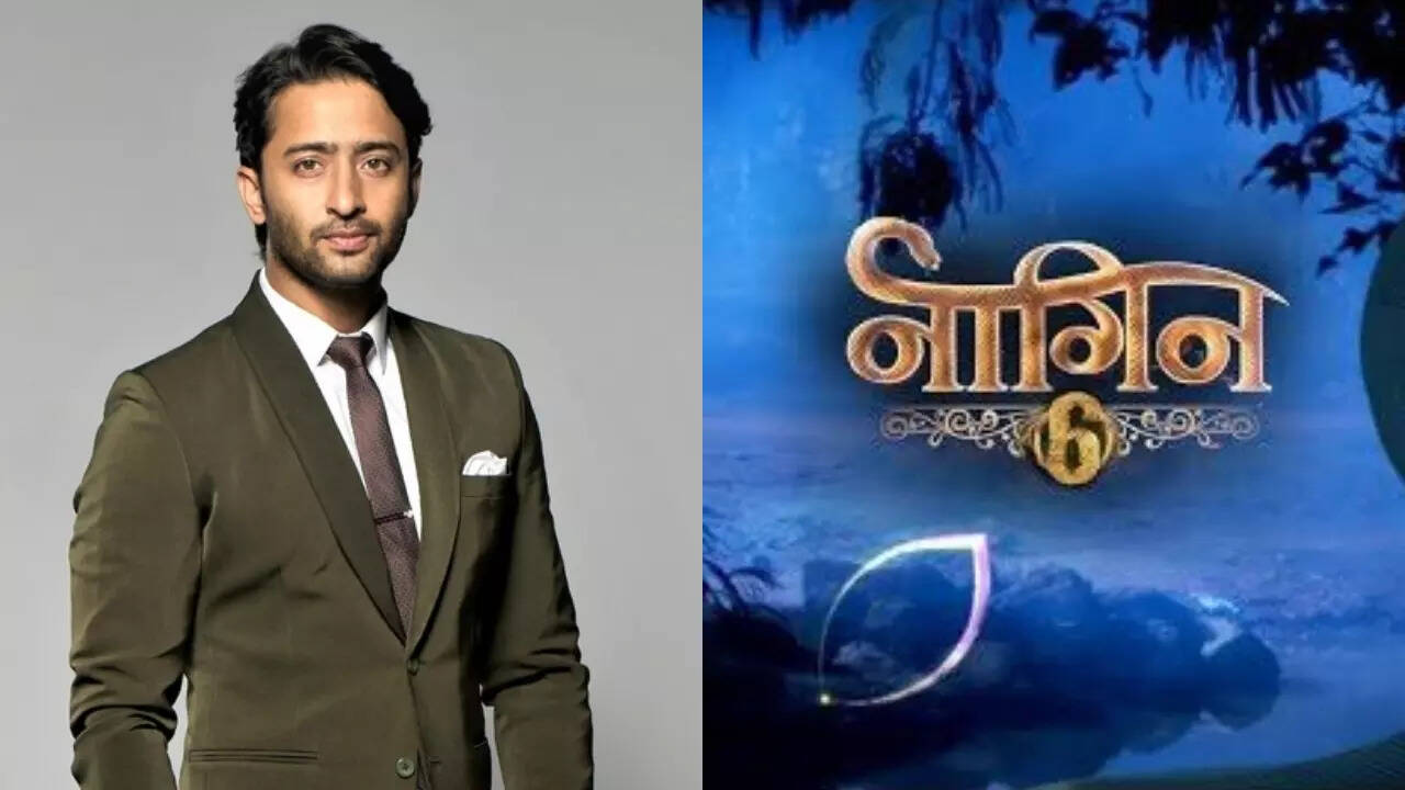 Shaheer Sheikh approached to play male lead in Naagin 6_