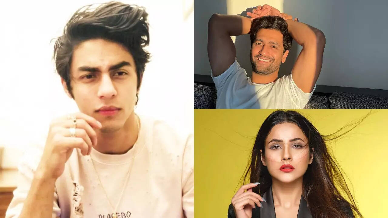 Shah Rukh Khan's son Aryan Khan becomes the second-most searched celeb on Google of 2021 followed by Vicky Kaushal and others