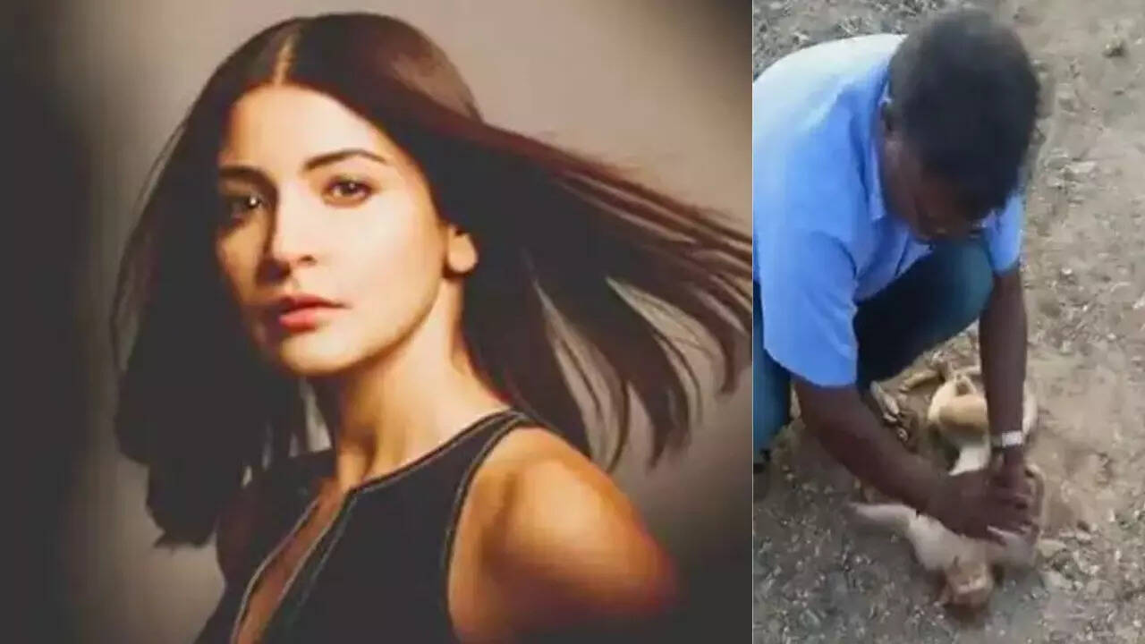 Anushka Sharma cries watching man save a monkey