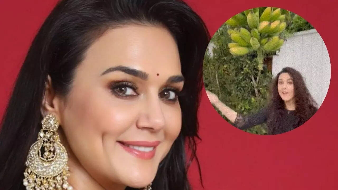 A tour inside Preity Zinta's indoor garden