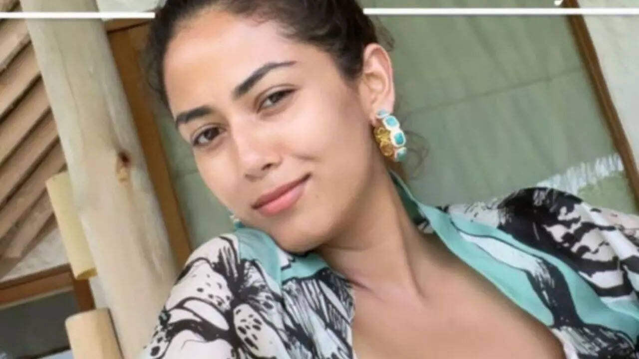 Mira Rajput's new photo