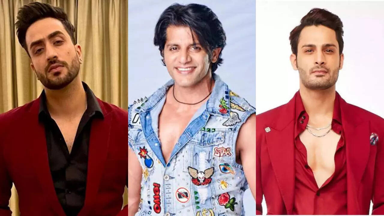 Aly Goni, Karanvir Bohra and others call Umar Riaz's eviction from Bigg Boss unfair