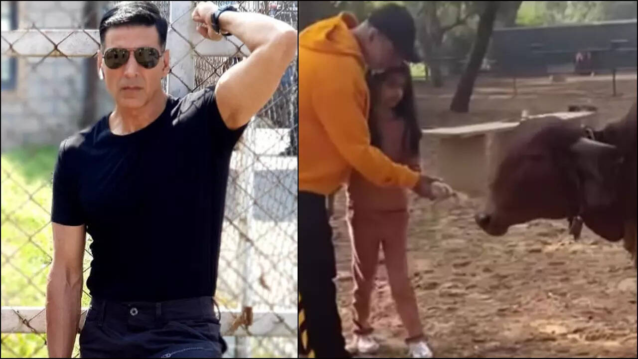 Akshay Kumar and daughter Nitara patted a cow