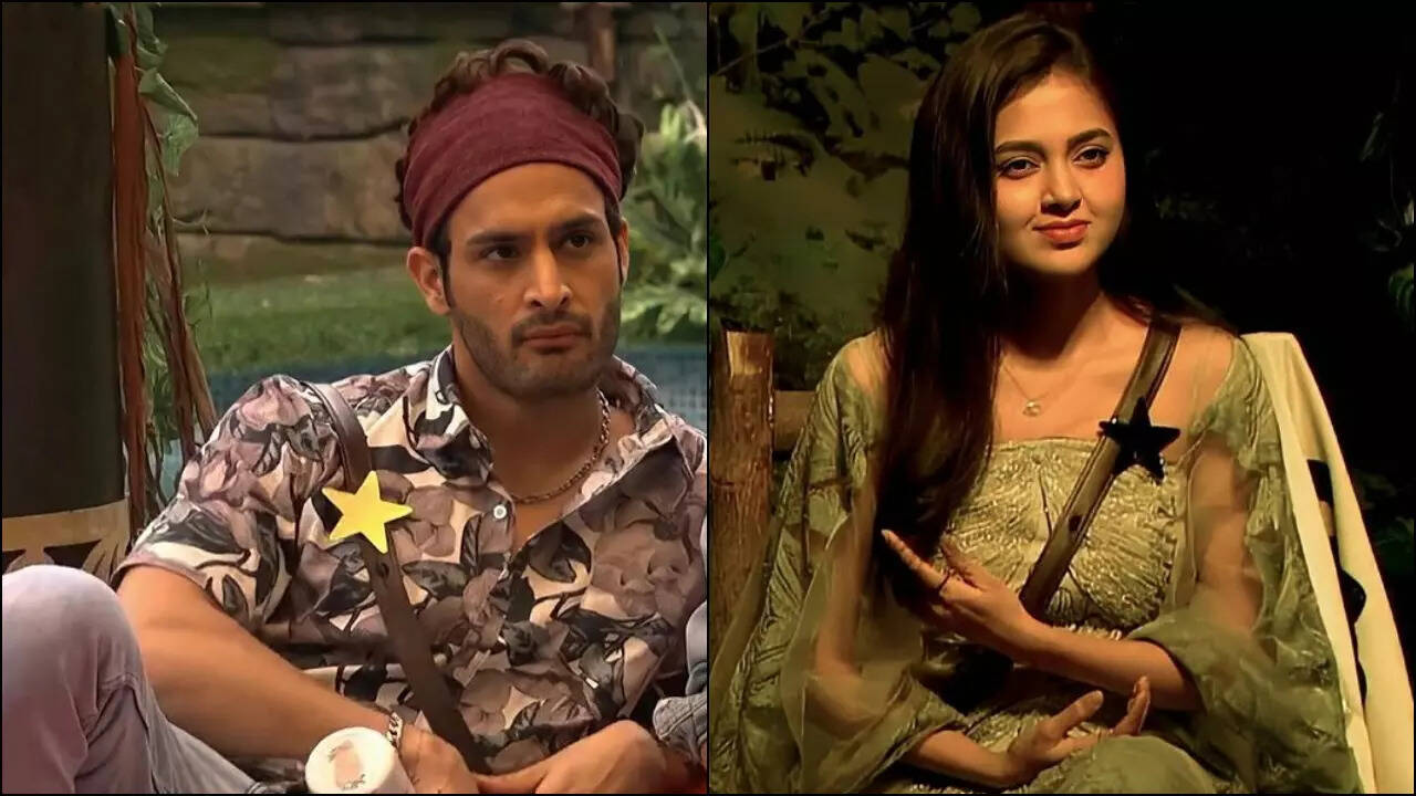 Bigg Boss 15: Umar Riaz reacts to Tejasswi Prakash's comments after his eviction