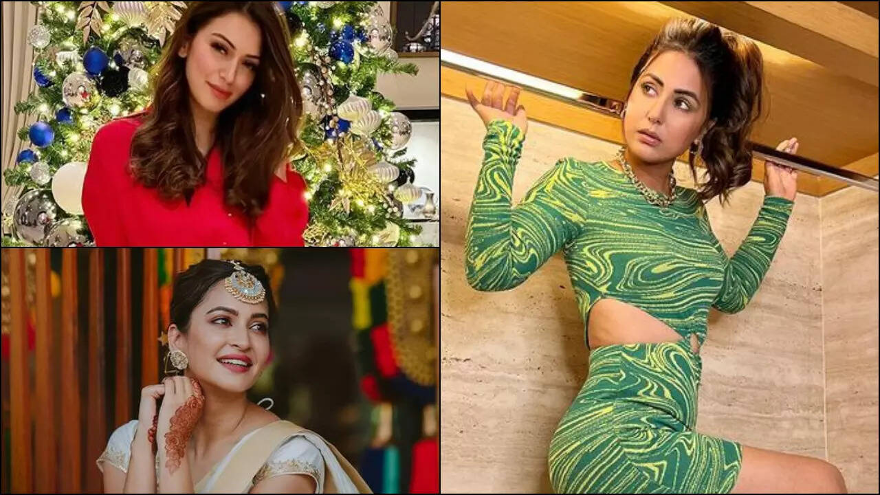 When Hansika and Kriti slammed Hina Khan