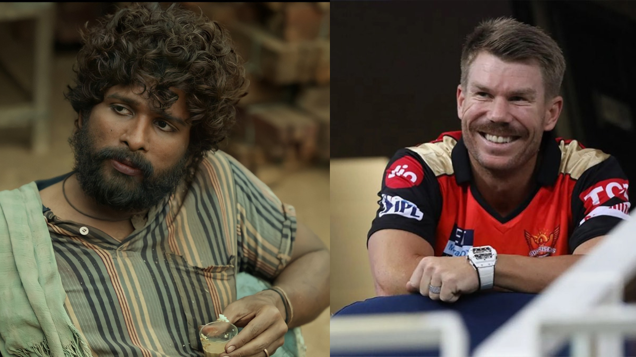 David Warner did a spoof video on Allu Arjun's Pushpa