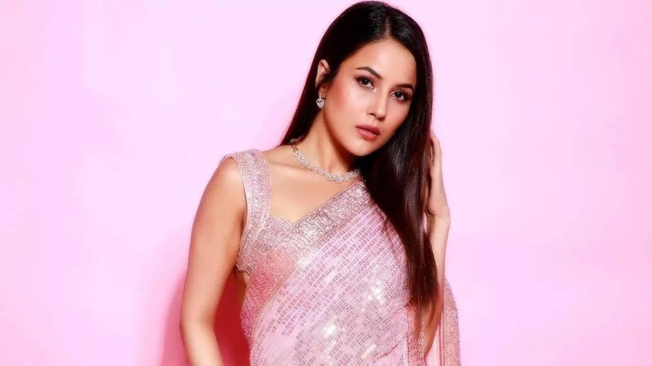 Shehnaaz Gill looks pretty in pink