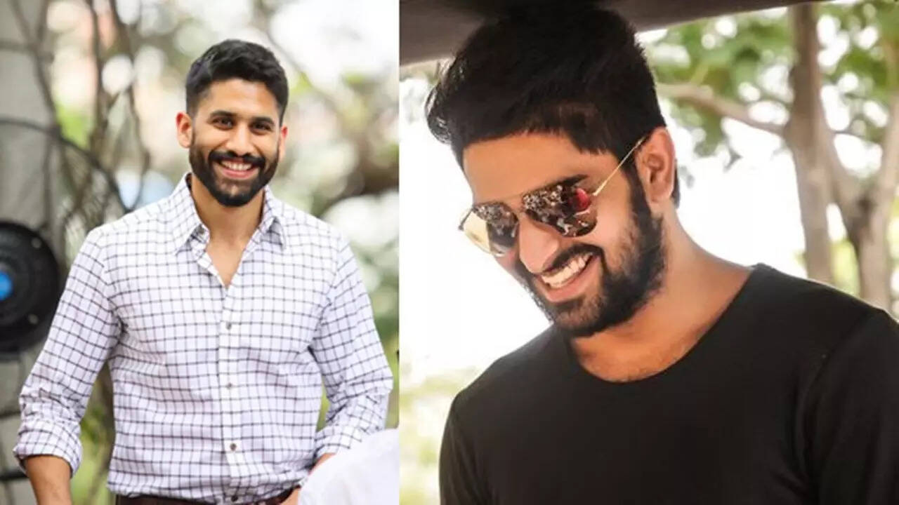 Naga Shaurya and  Naga Chaitanya