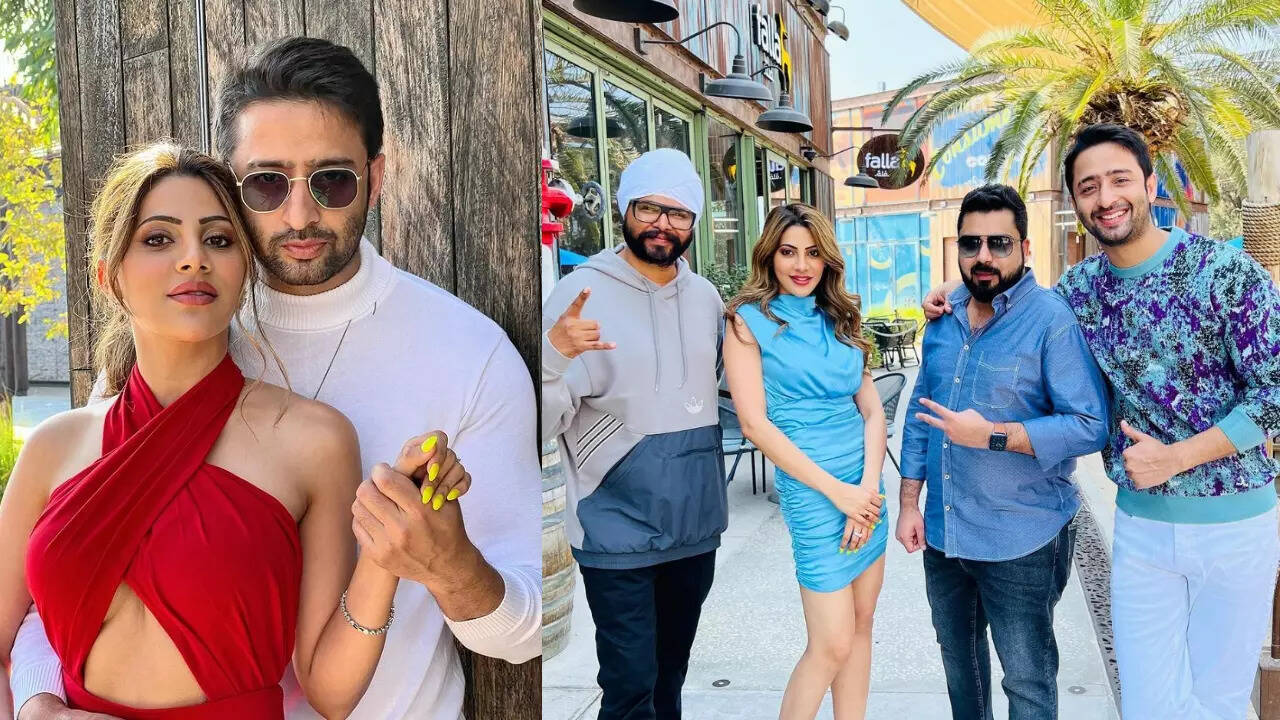 Nikki Tamboli and Shaheer Sheikh collaborate for a music video