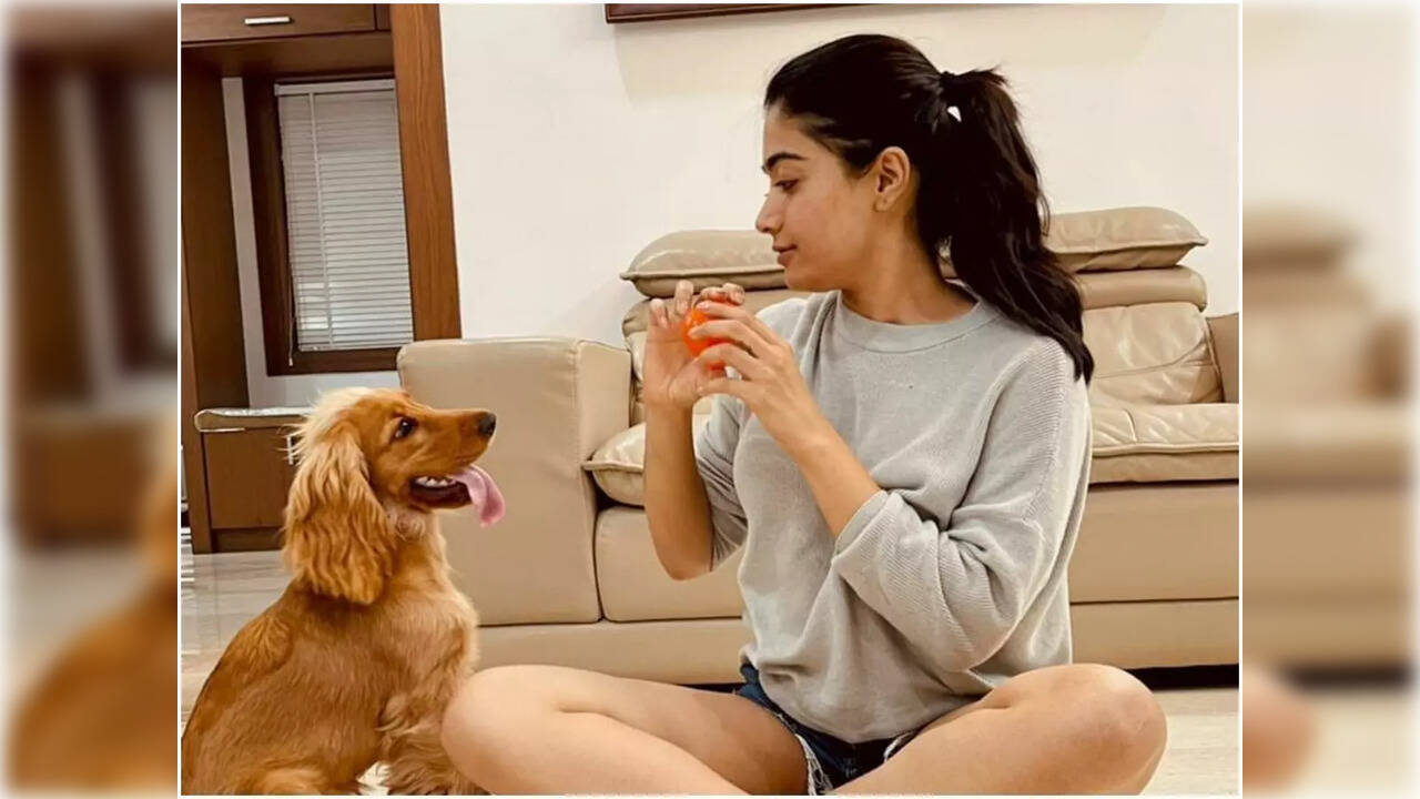 Rashmika with her dog Aura