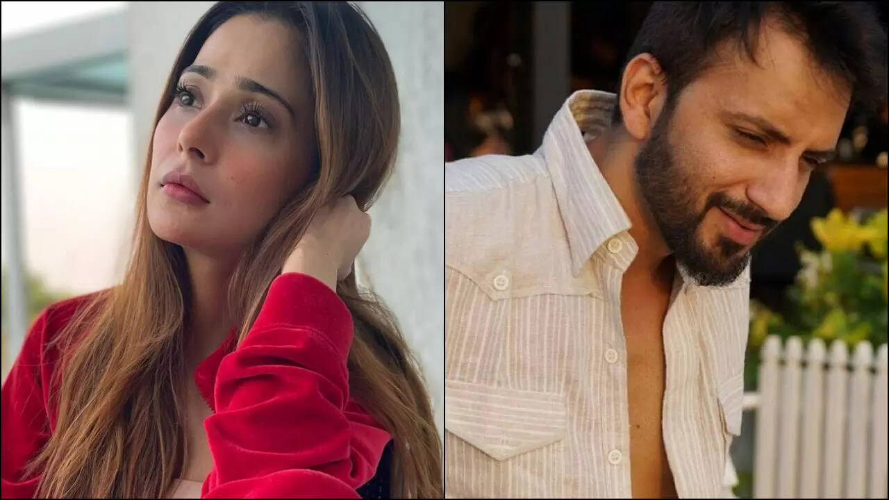 Sara Khan’s ex-husband Ali Merchant agrees to cheating on her