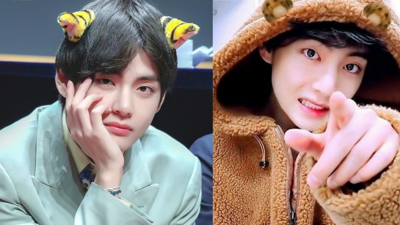 BTS' V ends the Tiger vs Bear debate